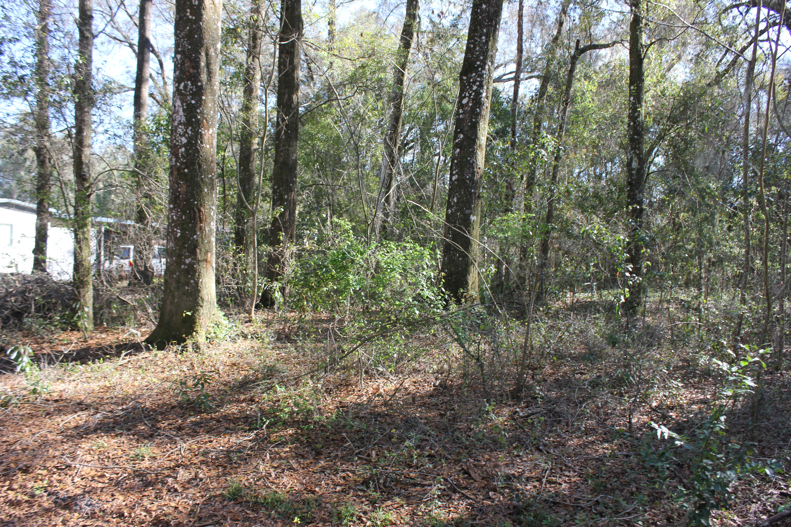 myLandBaron.com | Ocala Marion County Land For Sale 126